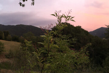 Schamanismus und Naturgeister